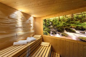 Wellnesshotel Grner Wald - Sauna