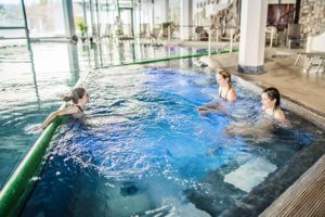 Wellnesshotel Vierjahreszeiten am Schluchsee - Whirlpool
