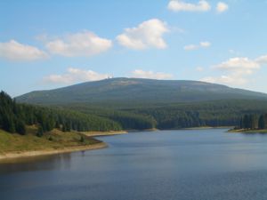 Wellnesshotel Zu den Rothen Forellen im Harz - Waldgeflüster